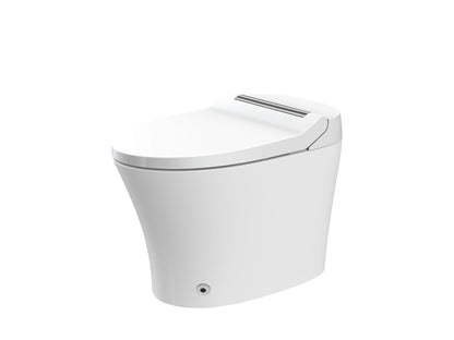 Allsumhome Smart toilet with Built - in Adjustable Temp Heated Seat, Auto Flush, 1.28 GPF, Foot sensor Flush, White Night Light