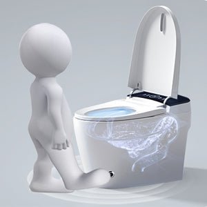 Allsumhome ST-ZGP-01 Smart Toilet with Heated Bidet Seat, One Piece toilet with AUTO Open&Close, Foot Kick Operation, AUTO Dual Flush, Dryer and Warm Water, Built In Water Tank Without Pressure Limited, White