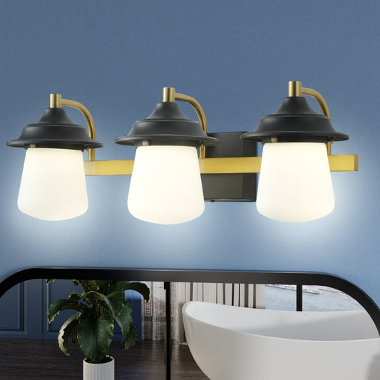 ExBrite 24.5" Farmhouse LED Vanity Light Fixture with Dimmable Switch & Tri - Color Settings