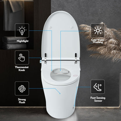 ExBrite Smart Toilet,Bidet with Self - Cleaning Nozzle,Dual Flush 1 - 1.28 GPF,Clear at room temperature,Knob Control,Power Outage Flushing,Soft Close