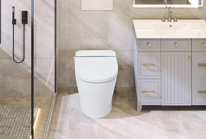 ExBrite Smart Toilet,Bidet with Self - Cleaning Nozzle,Dual Flush 1 - 1.28 GPF,Clear at room temperature,Knob Control,Power Outage Flushing,Soft Close